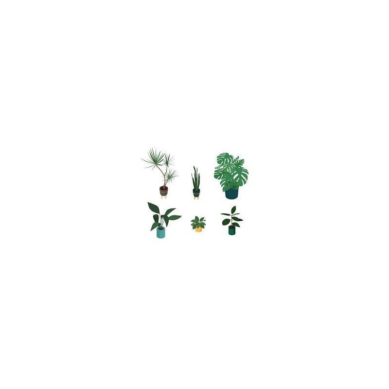 Semillero - Vivero