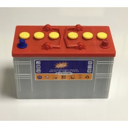120ah Traction Battery