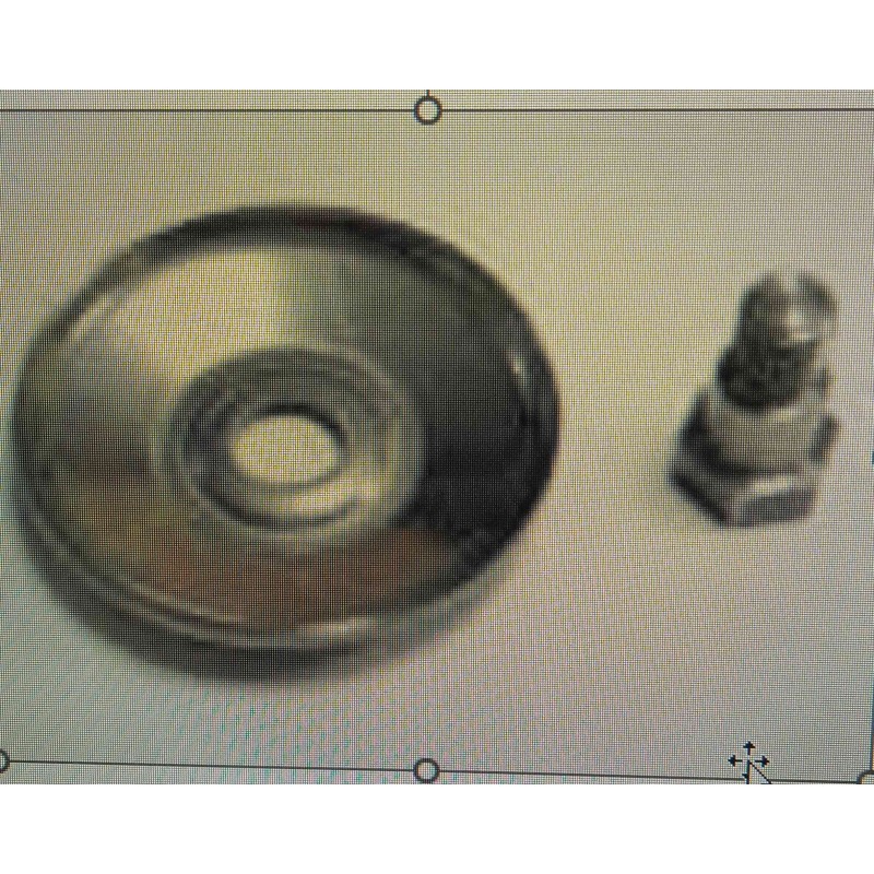 Arandela + pressão da bomba de parafuso PA