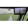 Nº1 - Tizona "Zeus"