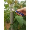 Cuchillo Pimentero