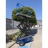 Cultivo de palmeras con estabilizadores